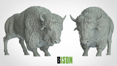 Bison